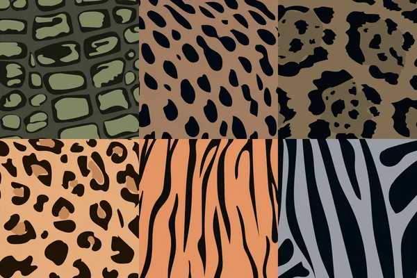 Set Animal Print Backgrounds Vector Illustration Animal Skin Backdrop Design — Vetor de Stock