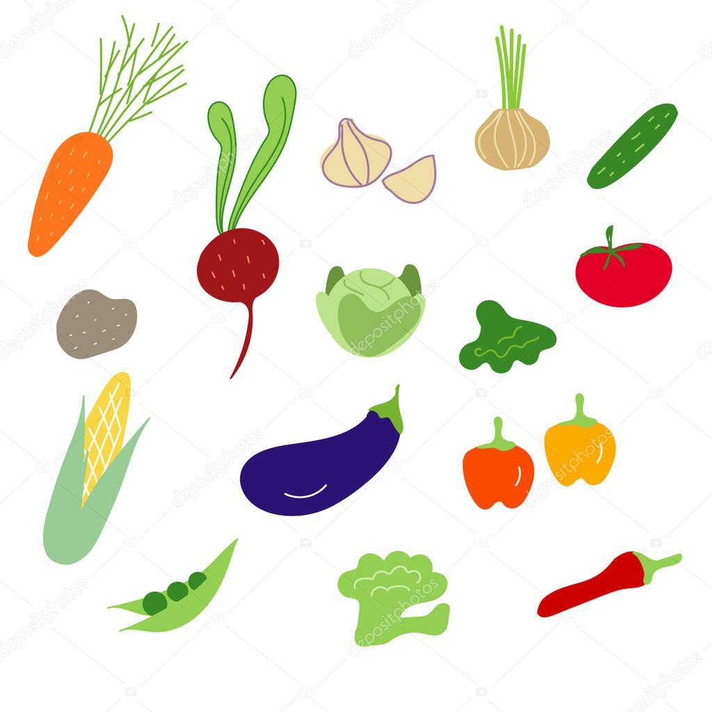 Cute vegetables set in vector. Vegetables illustration. Healthy food elements.