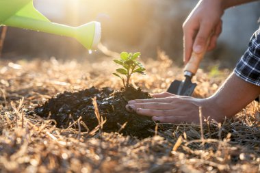 Dünya Çevre Günü 'nde iki adam yardım ediyordu.
