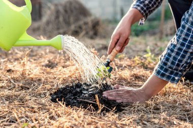 Dünya Çevre Günü 'nde iki adam yardım ediyordu.