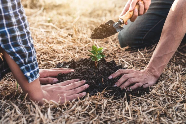 Meio ambiente dia terra, Mãos de dois homens ajudando estavam plantando th — Fotografia de Stock