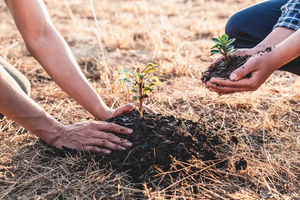 Meio ambiente dia terra, Mãos de dois homens ajudando estavam plantando th — Fotografia de Stock