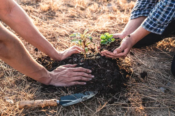 Meio ambiente dia terra, Mãos de dois homens ajudando estavam plantando th — Fotografia de Stock