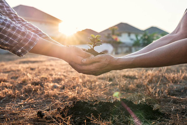 Environment earth day in hands, two people holding of young spro