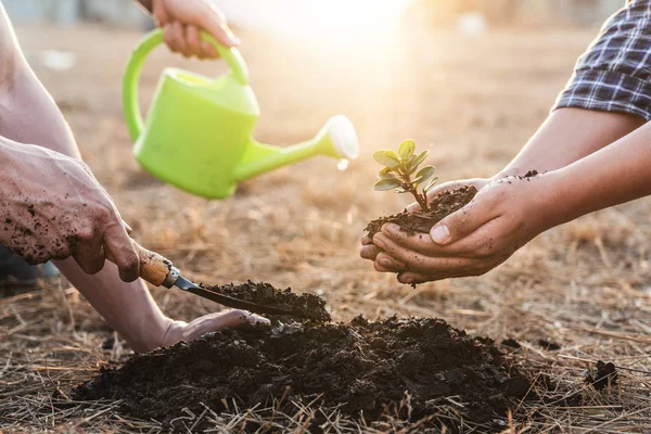 Meio ambiente dia terra, Mãos de árvore homem ajudando estavam plantando t — Fotografia de Stock