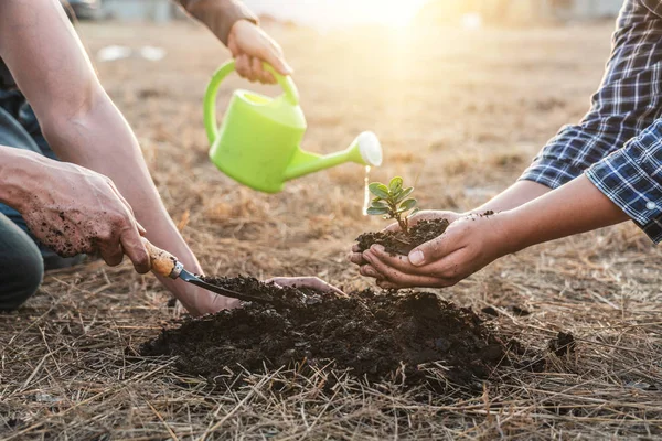 Meio ambiente dia terra, Mãos de árvore homem ajudando estavam plantando t — Fotografia de Stock