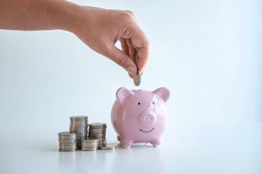 Domuzcuk banka planına para yatırma görüntüsü para kutusu ile strateji geliştirme seyahat, eğitim, ev ve emeklilik için para kutusu.