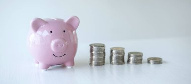 Gelecekteki seyahat, eğitim, yatırım ve emeklilik planlama fonu için büyüyen tasarruf stratejisinin planlanması için domuz kumbarası ve yığın para imajı.