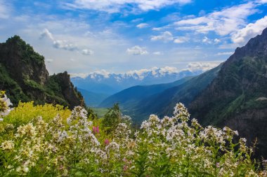 Çayır karla kaplı Gürcistan Kafkas Dağları doruklarına bir arka plan üzerinde güzel manzara