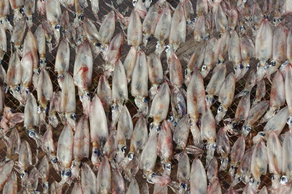 Ikan Asin Kering Dekat Tembakan — Stok Foto