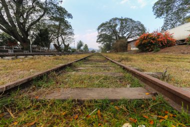 Myanmar 'daki dev ağaçların arka planında ufka giden demiryolu raylarının fotoğrafı
