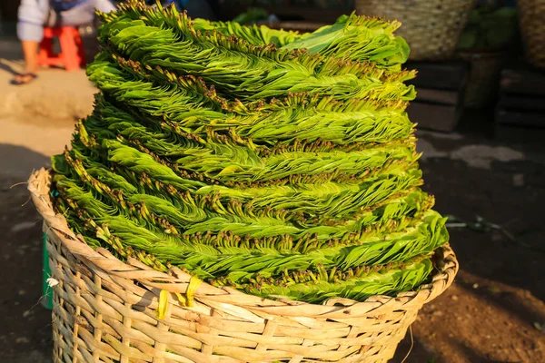 Leaves Betel Basket Ready Consumption Market — 스톡 사진