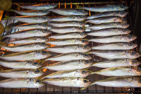 Ikan Panggang Atas Panggangan Closeup — Stok Foto