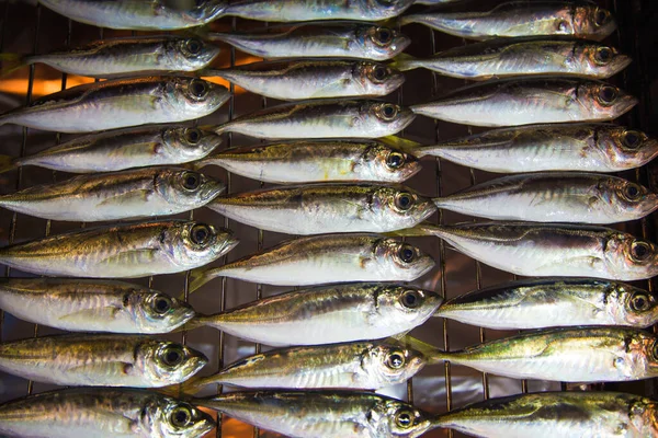 Ikan Panggang Atas Panggangan Closeup — Stok Foto