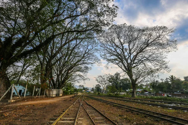 ミャンマーの巨木を背景に水平線につながる鉄道線路の写真 — ストック写真