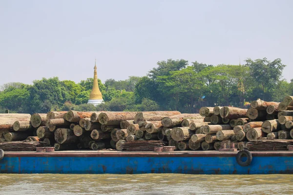 Myanmar Irrawaddy Nehri boyunca kereste taşıyan kargo gemisi.