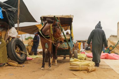 Fas pazarında bir at tarafından çizilmiş bir araba.