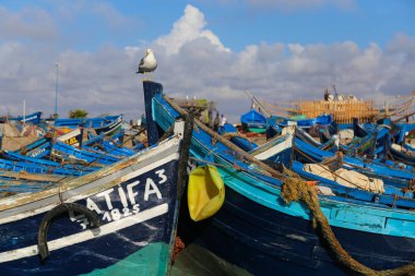 Essaouira limanında balıkçı tekneleri