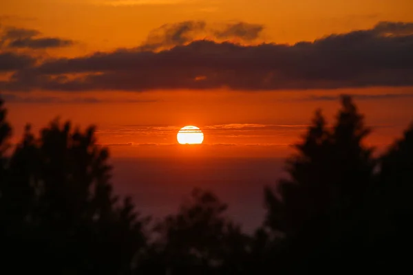 Bellissimo tramonto rosso sull'oceano attraverso gli alberi — Foto Stock