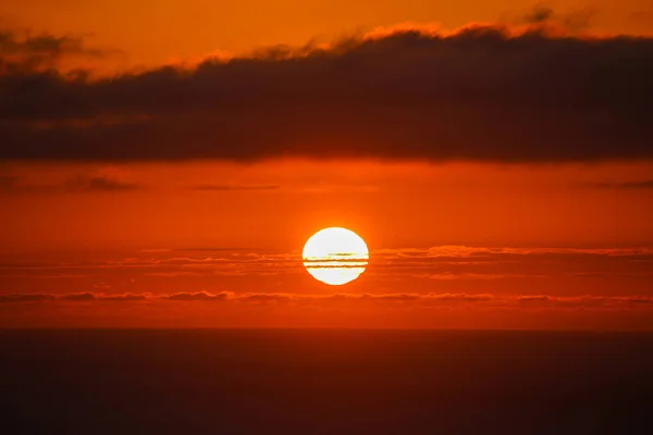 Mooie rode zonsondergang boven de oceaan door de bomen — Stockfoto