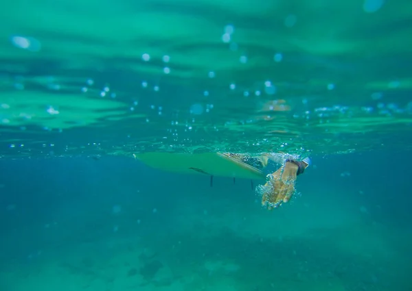 Surfování na vlně oceánu fotografie pod vodou — Stock fotografie