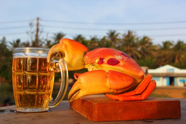 Grande caranguejo da lua e caneca de cerveja — Fotografia de Stock