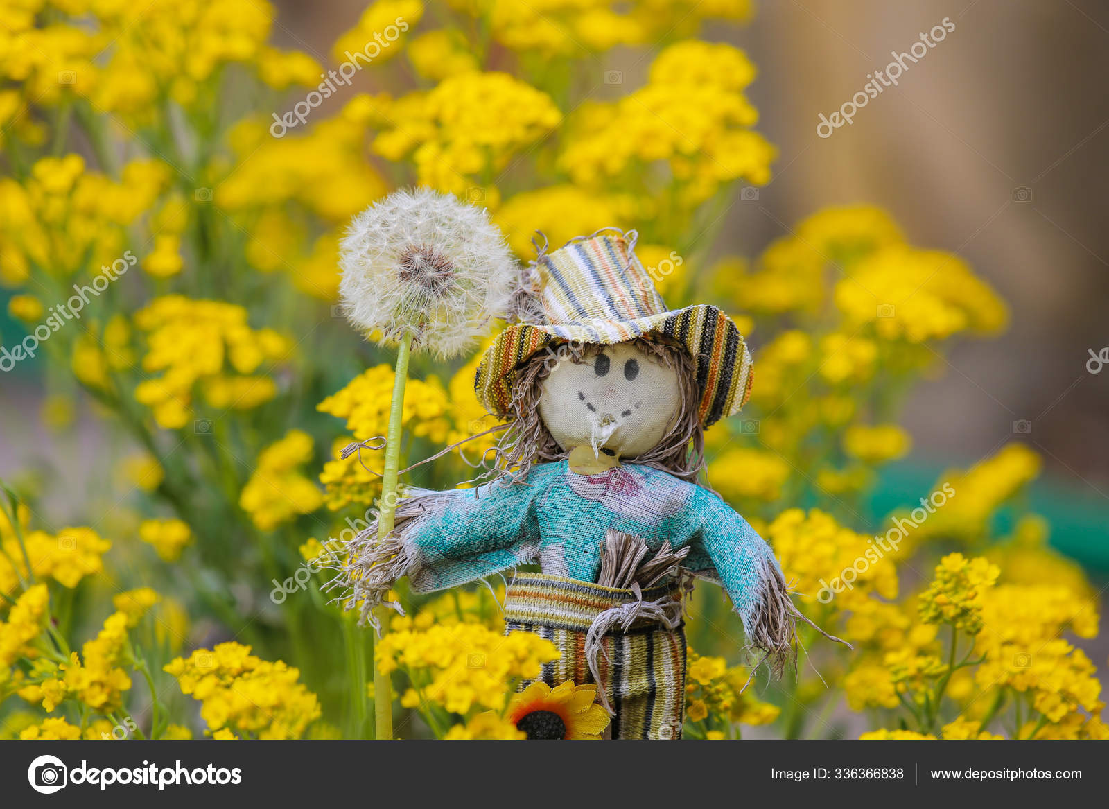 Toy Scarecrow Dandelion Background Flower Augeratum Stock Photo by