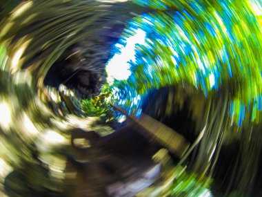 Dairesel bir hareketle orman illüzyonu soyutlaması