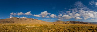 Pamir Dağı 'nda vahşi yakaların olduğu dağ otlakları manzarası.