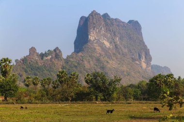 Hpa 'daki dev dağ - ve otlakların arka planında, Myanmar