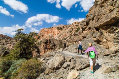 Bir grup turist dağ yolunda yürüyüş yapıyor.