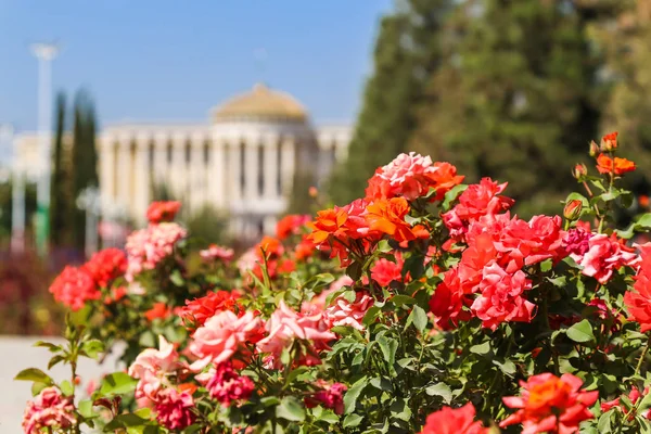 Dushanbe 'deki başkanlık sarayının manzarası