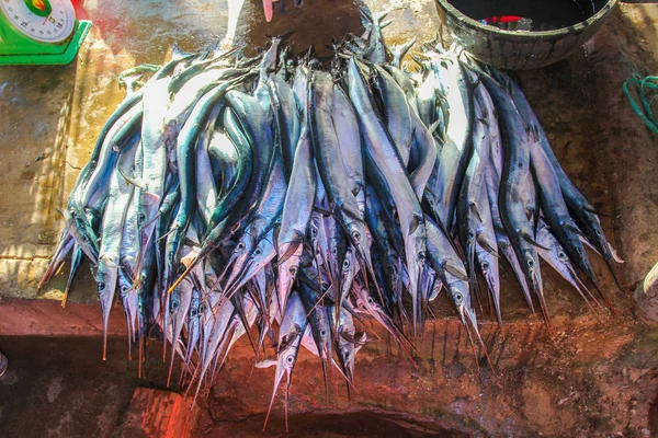 Tumpukan Ikan Garfish Pasar Ikan Asia — Stok Foto