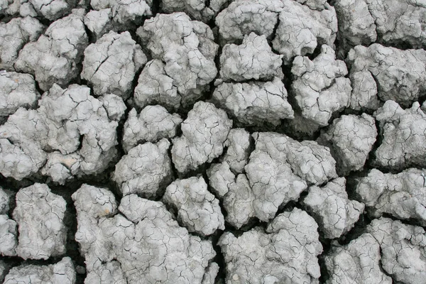 Photo Dried Cracked Soil Surface — Stock Photo, Image