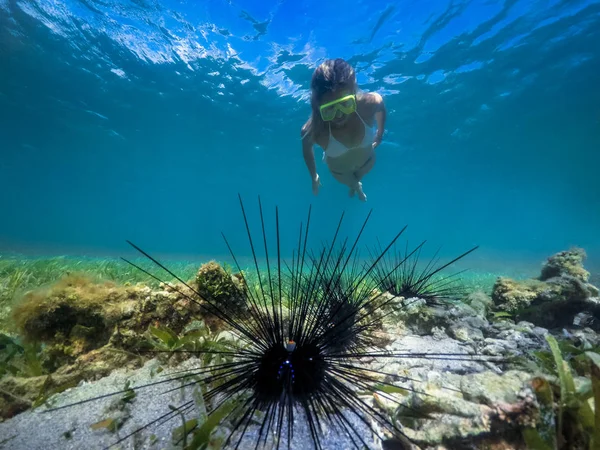 Free flight over a reef in tropical sea under water