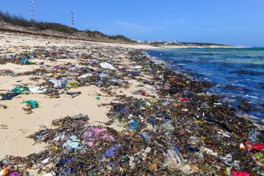 Asya kıtasındaki geri dönüşümlü materyal ve plastik işleme sorunları. Asya kıtasının kıyılarında geri dönüşümlü materyal ve plastik işleme sorunları