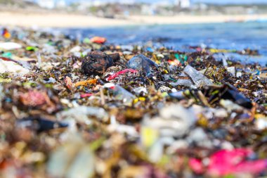 Closeup plastic trash on the sandy beach of a tropical sea. Ecological problem of garbage in the oceans clipart