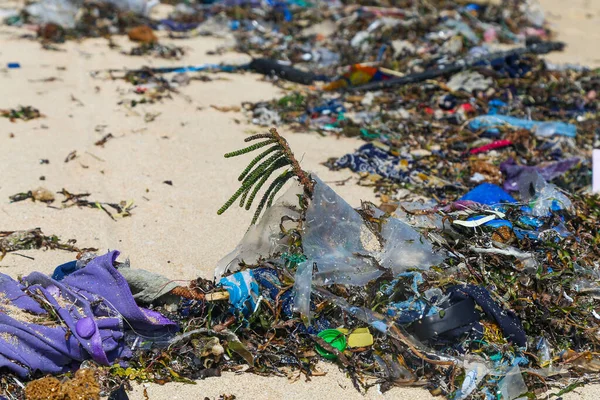 Live green plants among plastic trash on the beach. Ecological disaster on the shores of the Asian continent. Mountains of coastal plastic debris