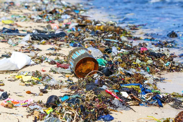 Gros Plan Sur Plage Sable Une Mer Tropicale Problème Écologique — Photo