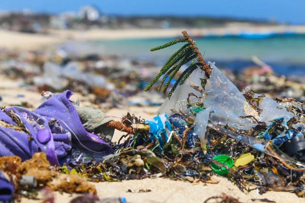 Live Green Plants Plastic Trash Beach Ecological Disaster Shores Asian — Stock Photo, Image