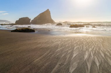 Kuşların ayak izleri ve güçlü bir fırtınada okyanusun kumlu sahillerinde rüzgarın izleri.