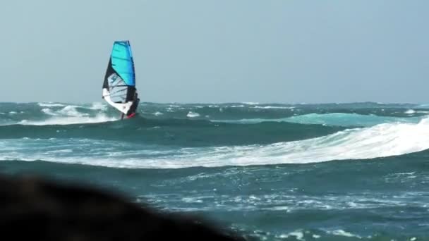 Rüzgar sörfçüsü bir numara yapar - ön döngü (ön döngü) ve berrak turkuaz deniz üzerinde süzülür — Stok video