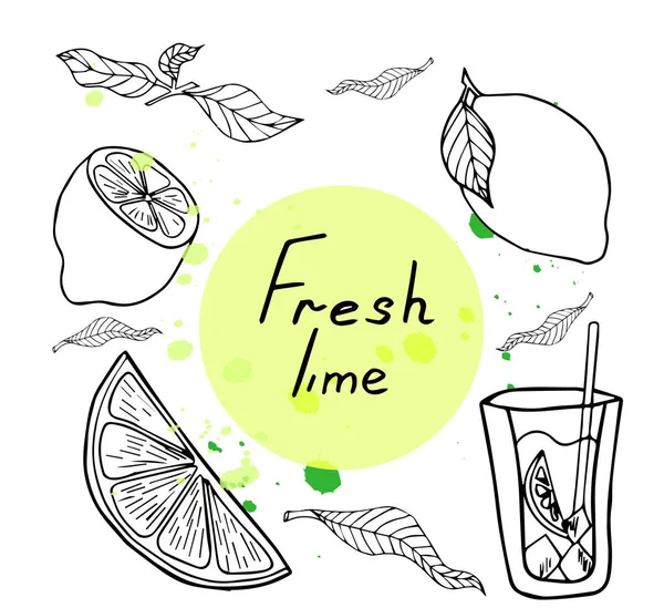 Limon ve meyve ikonları. Vektör stoğu ayarlandı. Tatlı karalamalar. Yaz meyveleri, limonata ve kokteyl için parlak narenciye meyveleri. Yazılı materyaller için kullanılabilir..