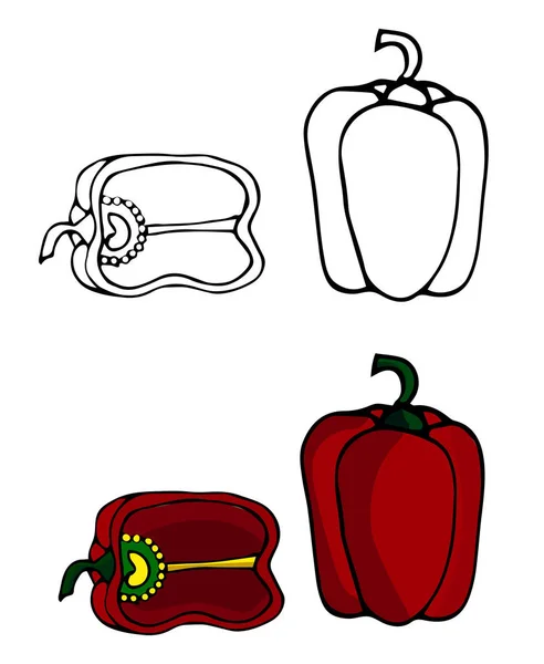 Handgetekende paprika 's, gesneden paprika' s. voor decoratie in de winter en herfst. Rode peper. Doodle vector illustratie. Geïsoleerd over witte achtergrond. — Stockvector