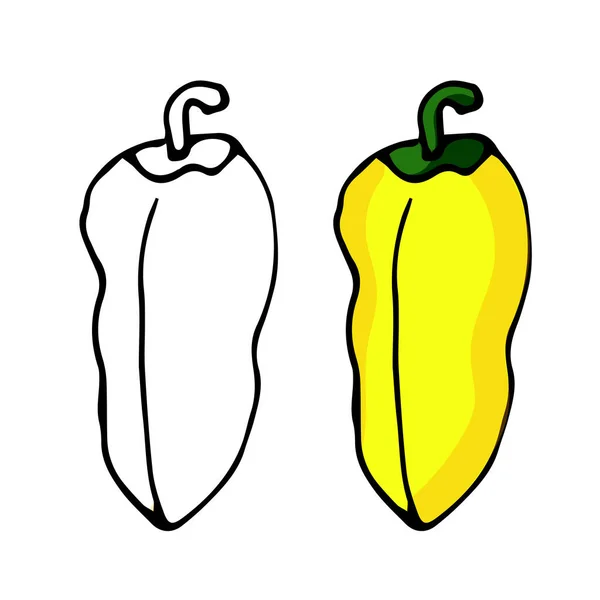 Handgetekende paprika 's, gesneden paprika' s. voor decoratie in de winter en herfst. Gele peper. Doodle vector illustratie. Geïsoleerd over witte achtergrond. — Stockvector