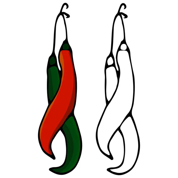 Handgetekende illustratie van rode en groene chili pepers. Geïsoleerd op witte achtergrond — Stockvector