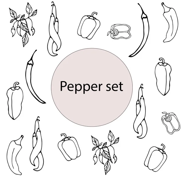 Set van handgetekende pepers, chili, paprika 's, chili pepers op een tak. Geïsoleerd op witte achtergrond — Stockvector