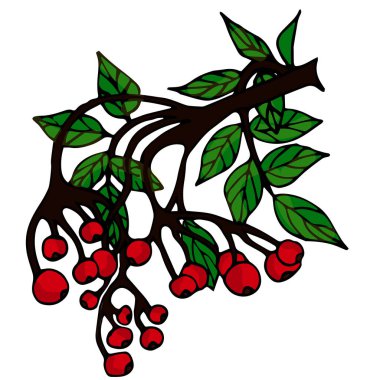 Kışın ve sonbahar süslemeleri için yapraklı el yapımı kızılcık böğürtlenleri. Doodle vektör çizimi. Beyaz bir arkaplanda izole edilmiş.