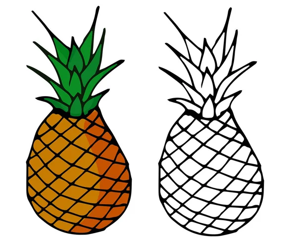 Beyaz arka planda düz bir tarzda renkli ananas ikonu. Çizim. Web pankartı, etiket, kart, poster tasarımı.