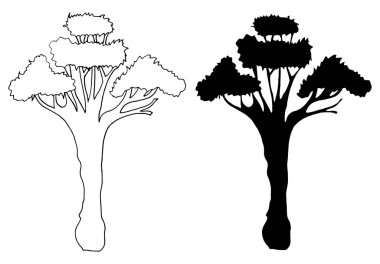 Vektör siluet ağaç görünümü. Beyaz arkaplanda vektör el çizimi.